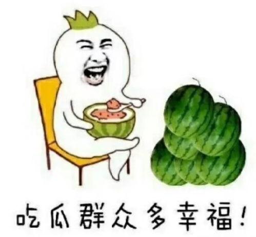 娱乐圈吃瓜大队