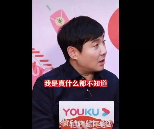 娱乐圈吃瓜创作的原声,揭秘明星幕后真相，吃瓜群众狂欢盛宴